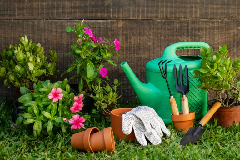Green Happiness (11)
